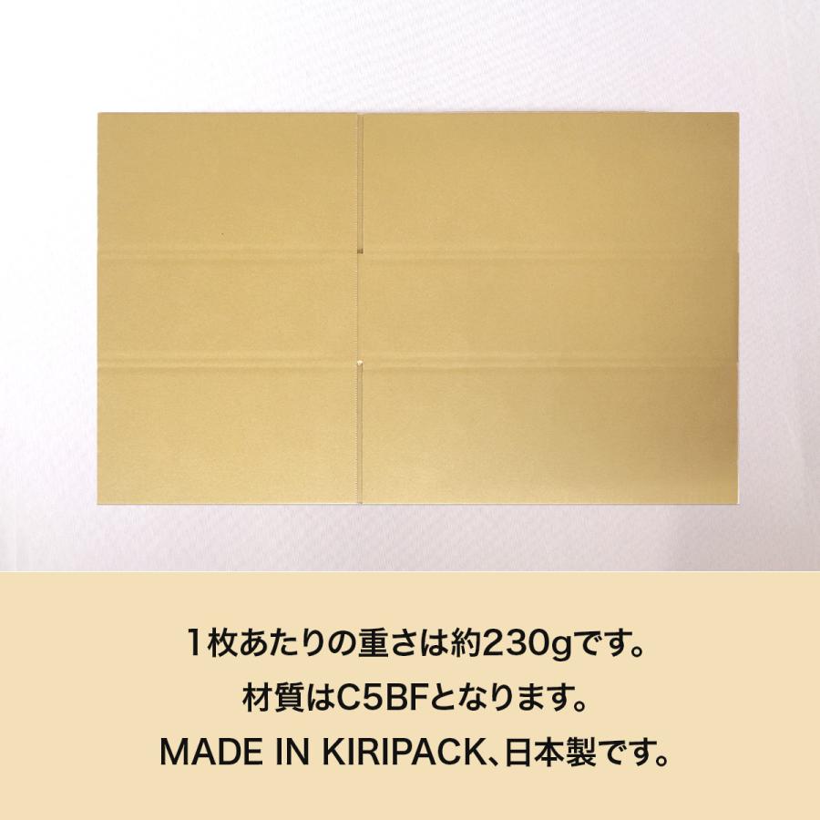 段ボール 洋服 衣類 ダンボール箱 80サイズ 浅型  国産 100枚 薄型 アパレル 宅配 通販 ゆうパック 梱包 | 桐パック | 03