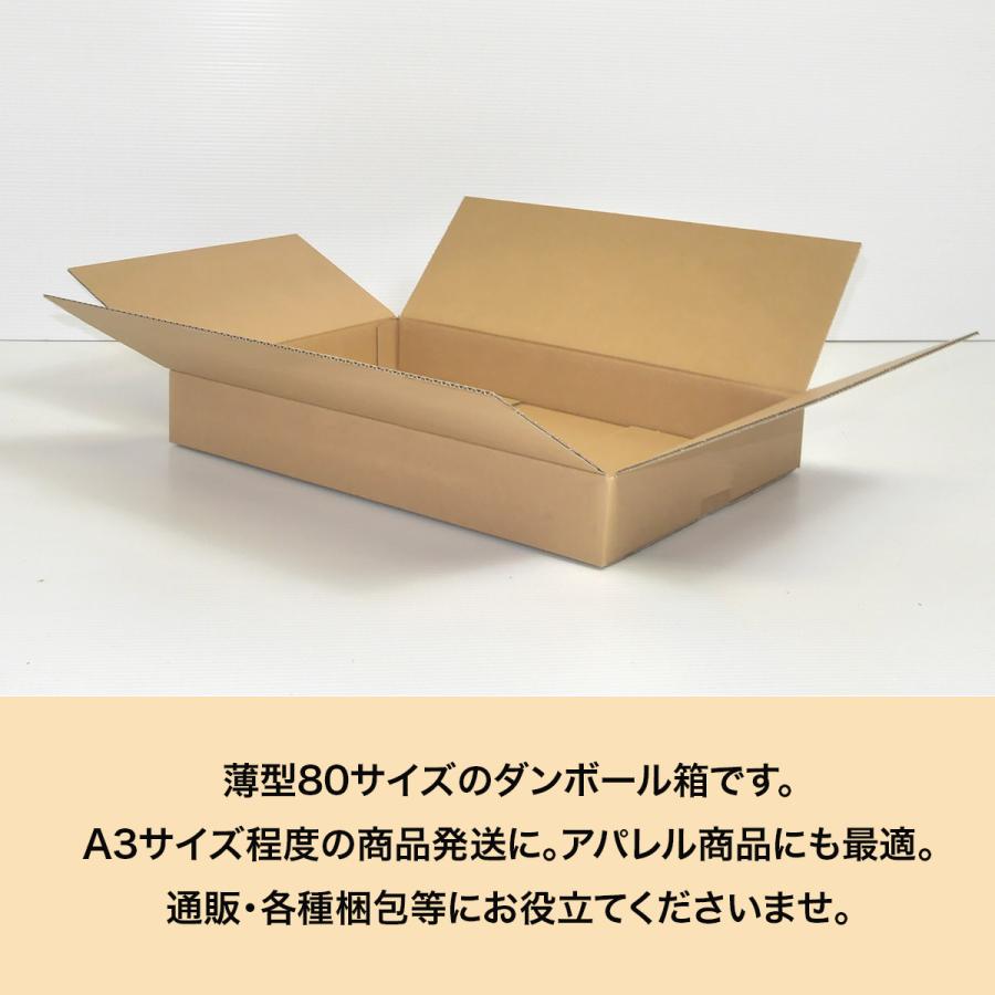 桐パック 段ボール A3 薄型 段ボール箱 80サイズ 国産 50枚セット 洋服