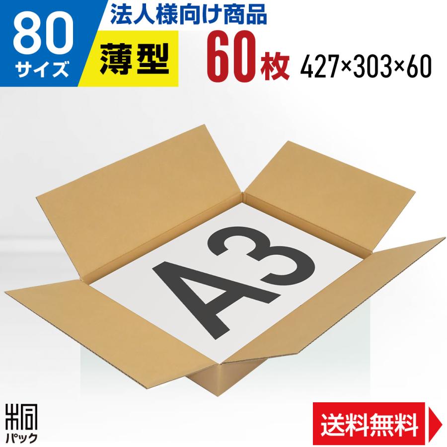 桐パック 段ボール A3 薄型 段ボール箱 80サイズ 国産 60枚セット 洋服