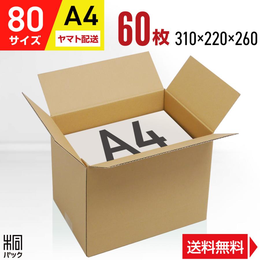 桐パック ダンボール 段ボール箱 80サイズ A4 国産 60枚セット 高さ 