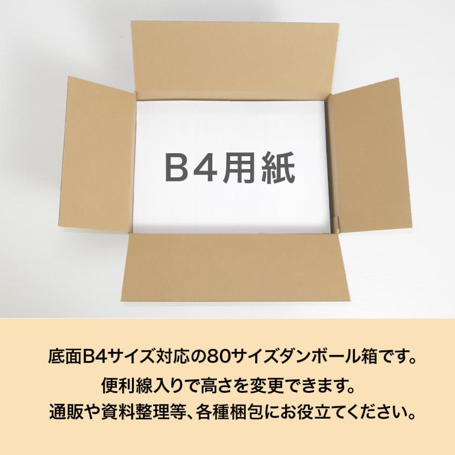 桐パック 段ボール箱 80サイズ 段ボール B4 薄型 国産 50枚