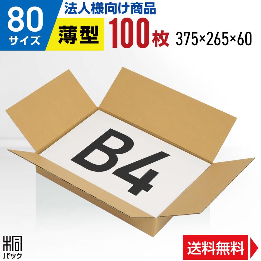 桐パック 段ボール B4 薄型 段ボール箱 80サイズ 100枚セット 洋服