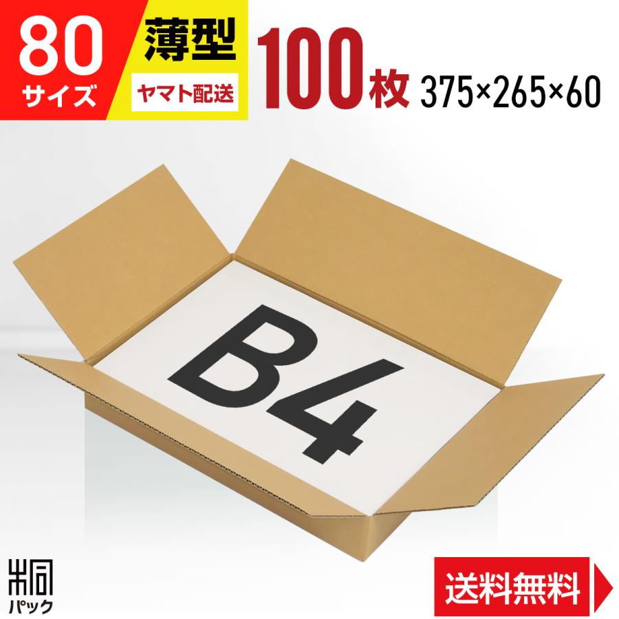 桐パック 段ボール B4 薄型 段ボール箱 80サイズ 100枚セット 洋服