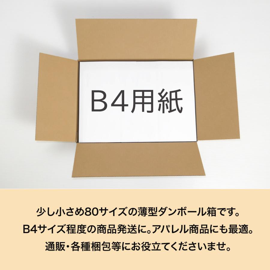 桐パック 段ボール B4 薄型 段ボール箱 80サイズ 100枚セット 洋服