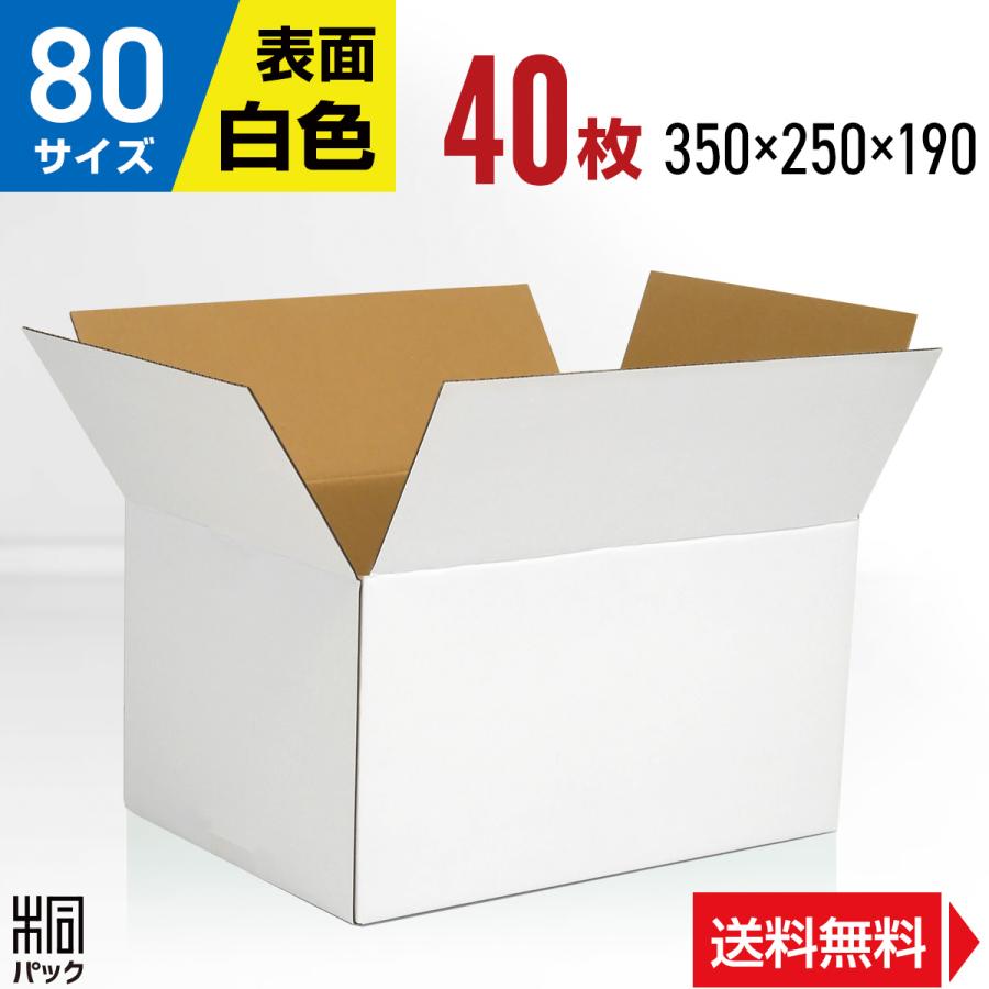 桐パック 段ボール 白 段ボール箱 80サイズ 定番 国産 40枚セット