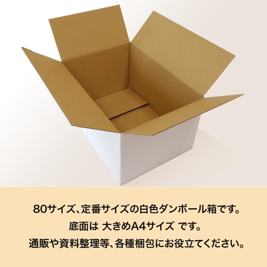 桐パック 段ボール 白 段ボール箱 80サイズ 定番 国産 40枚セット