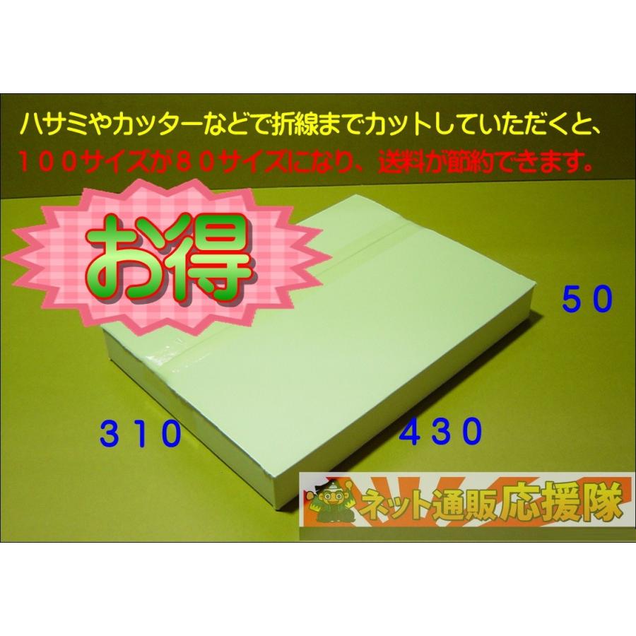 桐パック 白色ダンボール箱100サイズA3(段ボール箱)10枚(外寸