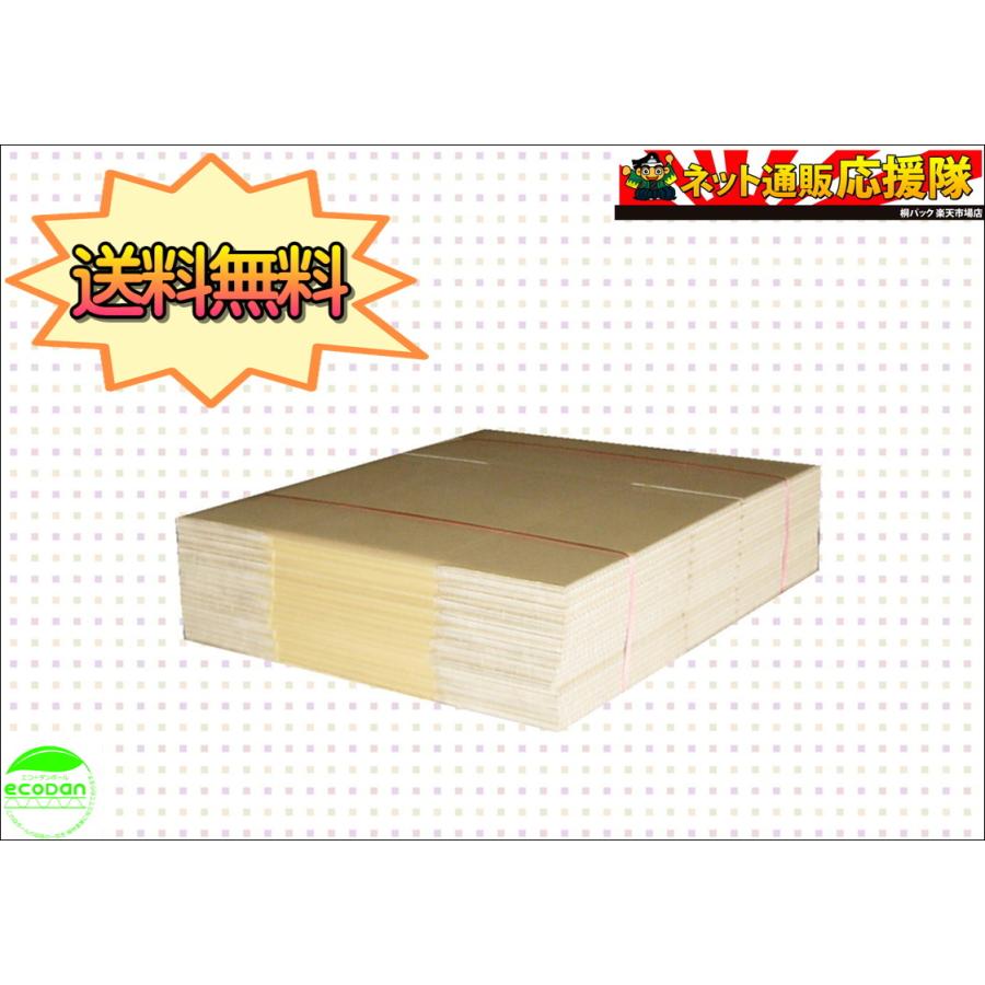 桐パック ダンボール箱100サイズ(段ボール箱)10枚(外寸：420×280×215mm