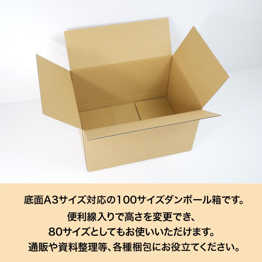 桐パック 段ボール ダンボール箱 100サイズ A3 高さ変更 国産 10