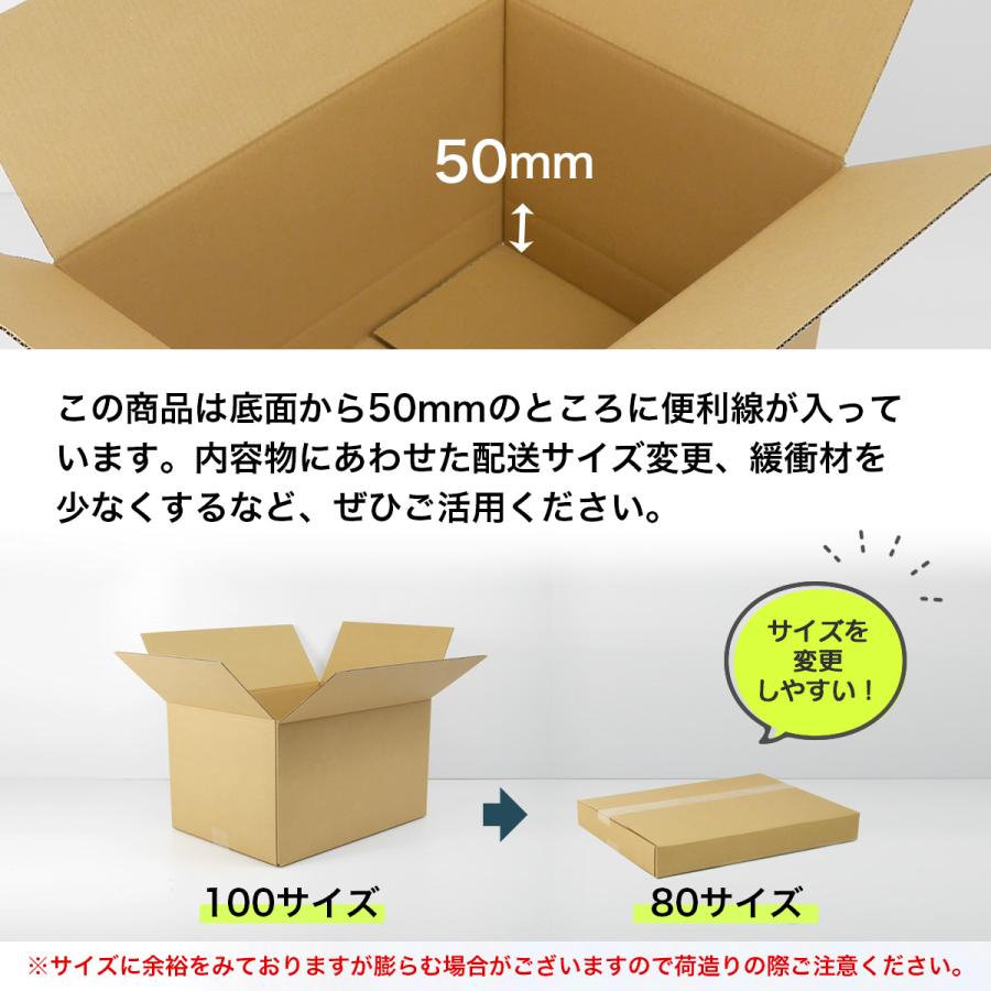 桐パック 段ボール ダンボール箱 100サイズ A3 高さ変更 国産 10枚