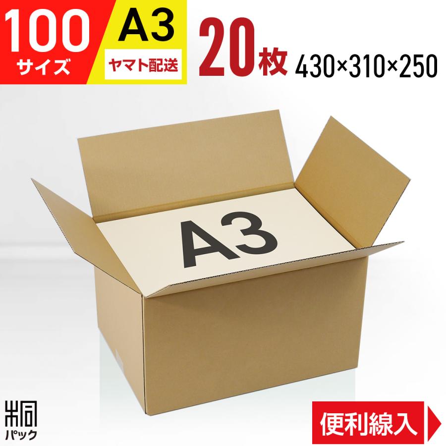 桐パック 段ボール ダンボール箱 100サイズ A3 高さ変更 国産 20枚