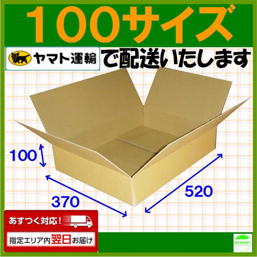 ダンボール箱100サイズ薄型(段ボール箱)10枚　便利線入り(外寸：520×370×100mm)(3ミリ厚)