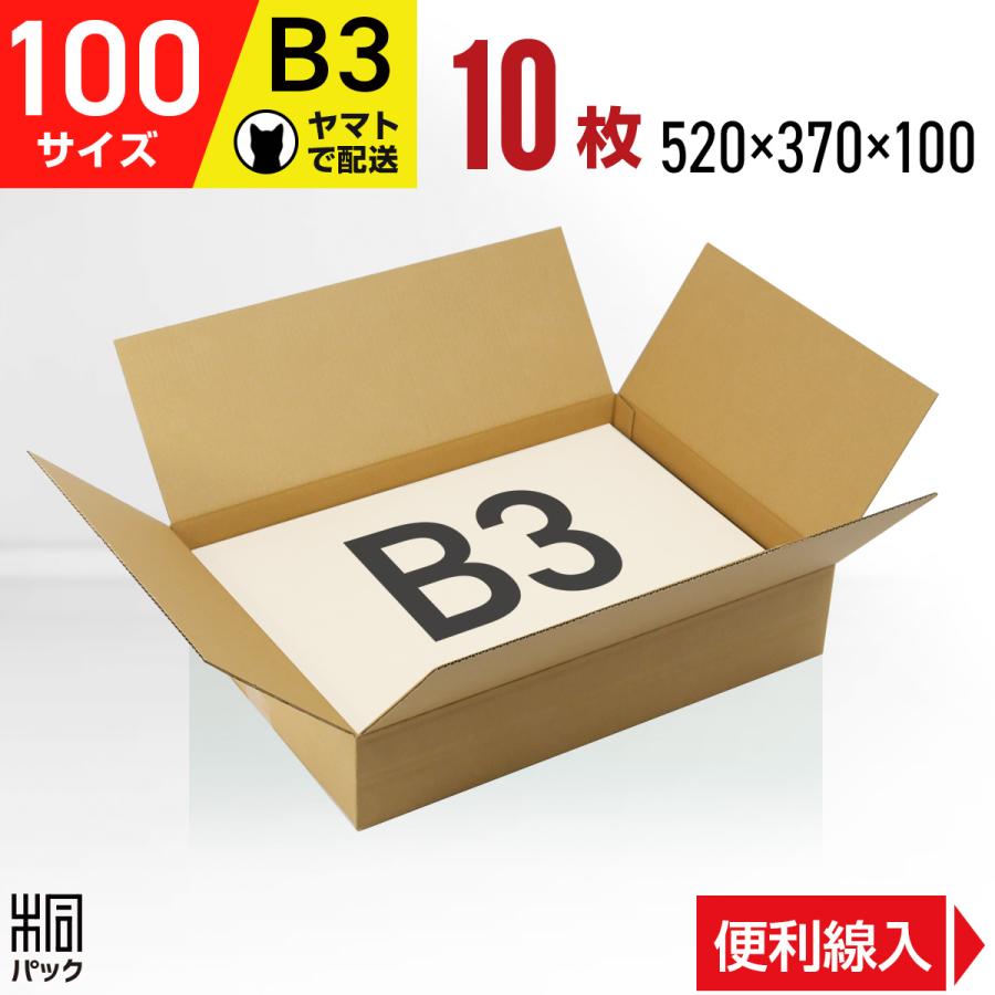 桐パック ダンボール箱100サイズ薄型(段ボール箱)10枚 便利線入り(外寸
