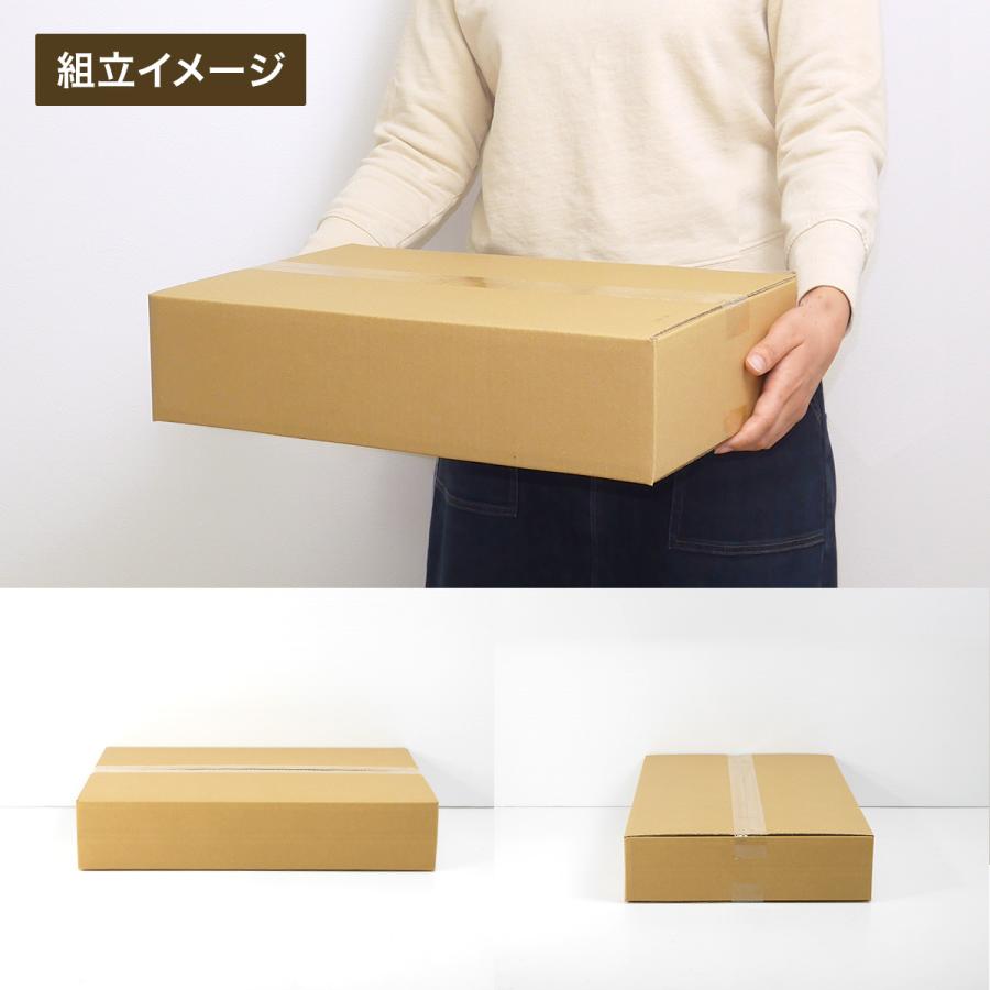 桐パック ダンボール箱100サイズ薄型(段ボール箱)10枚 便利線入り(外寸