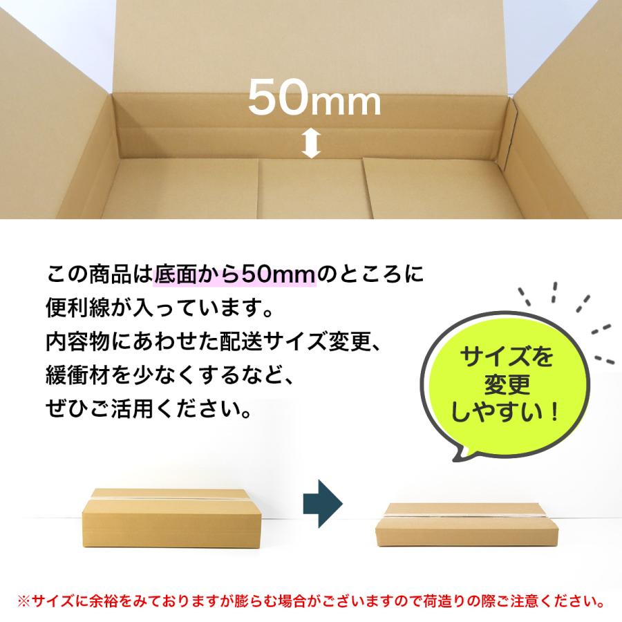 桐パック 法人限定 ダンボール箱100サイズ薄型(段ボール箱)20枚 便利線