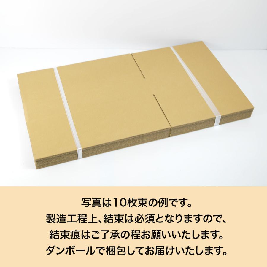 桐パック 法人限定 ダンボール箱100サイズ薄型(段ボール箱)20枚 便利線