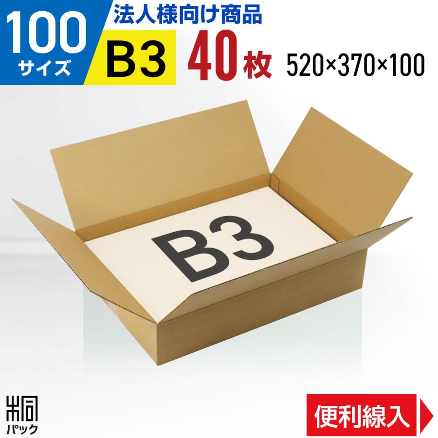 桐パック 法人限定 ダンボール箱100サイズ薄型(段ボール箱)40枚 便利線 