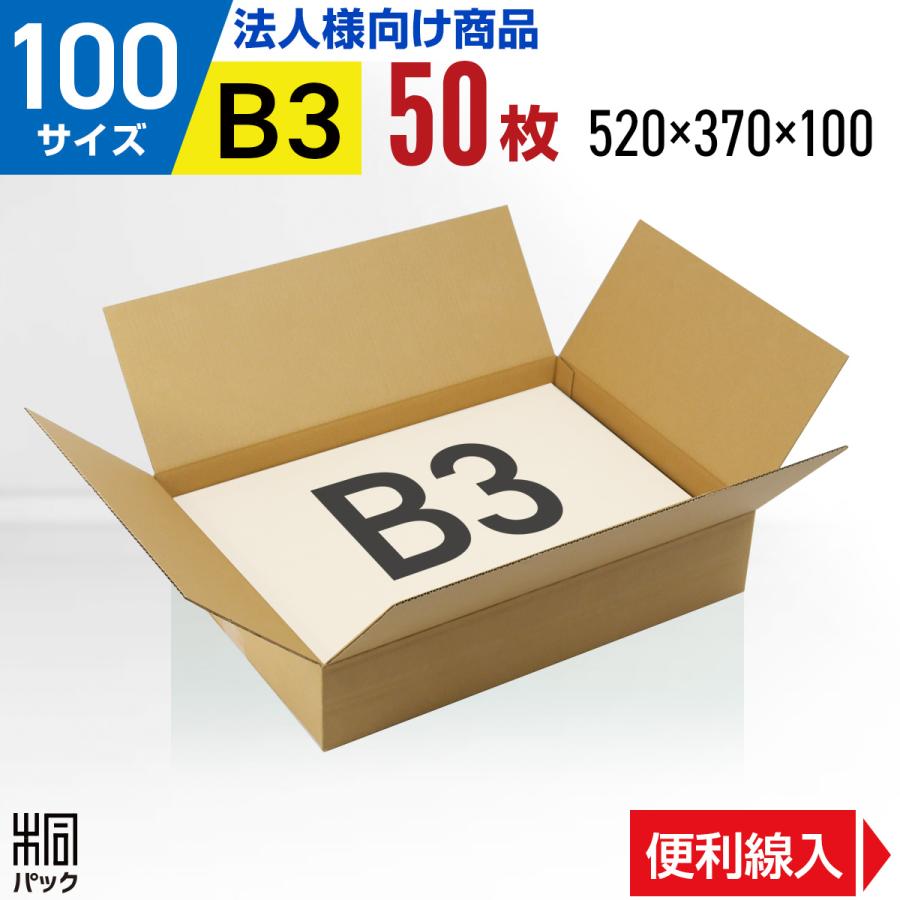 桐パック 法人限定 ダンボール箱100サイズ薄型(段ボール箱)50枚 便利線