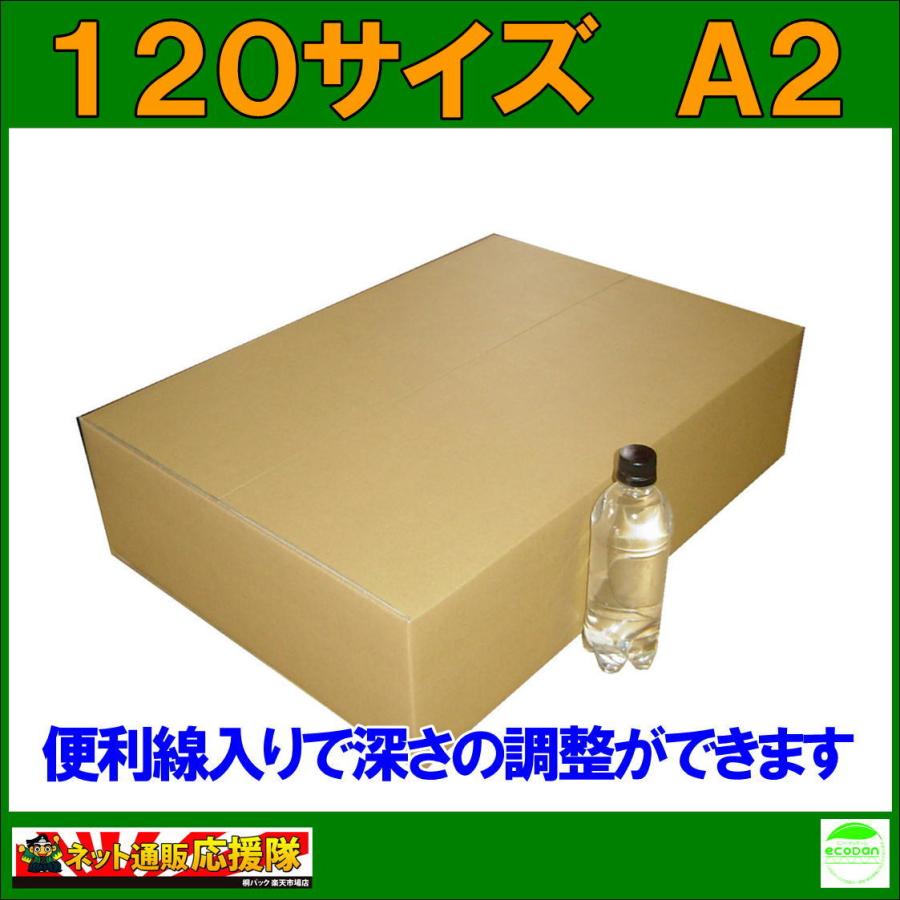 桐パック 法人限定 ダンボール箱120サイズA2(段ボール箱)10枚(外寸