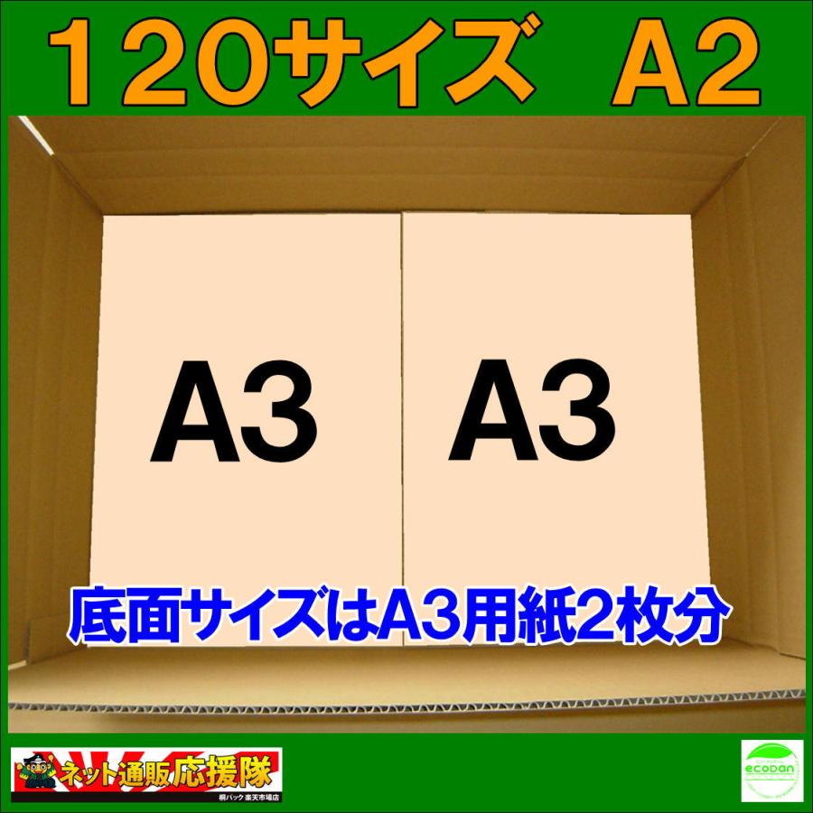 桐パック 法人限定 ダンボール箱120サイズA2(段ボール箱)5枚(外寸：605