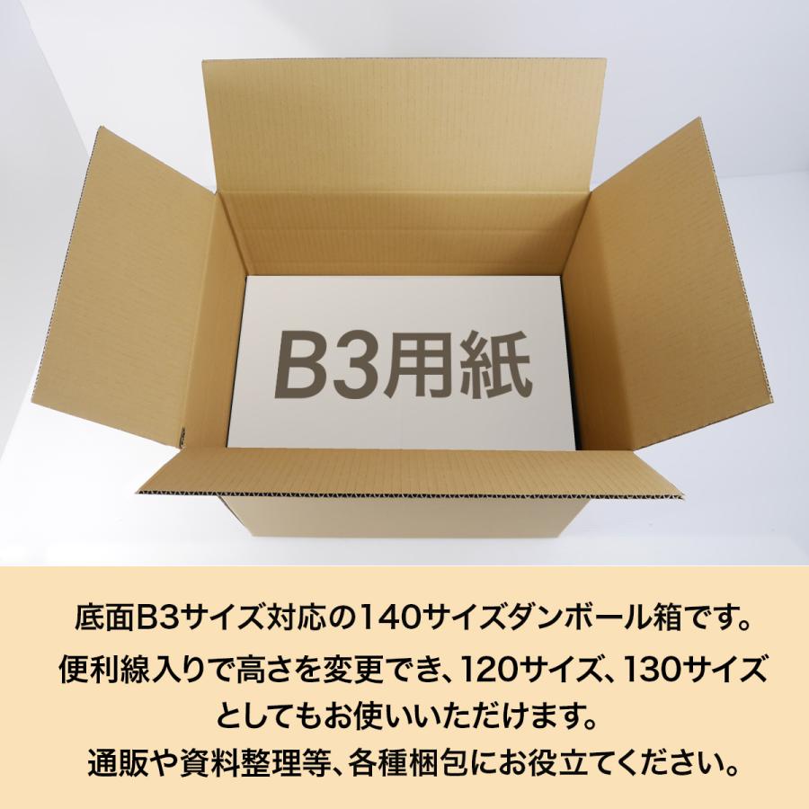 桐パック 段ボール ダンボール箱 140サイズ B3 国産 20枚セット 引越し