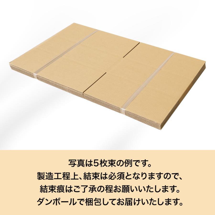 桐パック ダンボール 140サイズ 10枚 (5mm厚 605x495x210) 引越し