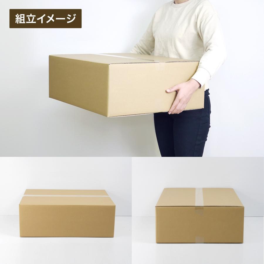 桐パック ダンボール 140サイズ 10枚 (5mm厚 605x495x210) 引越し