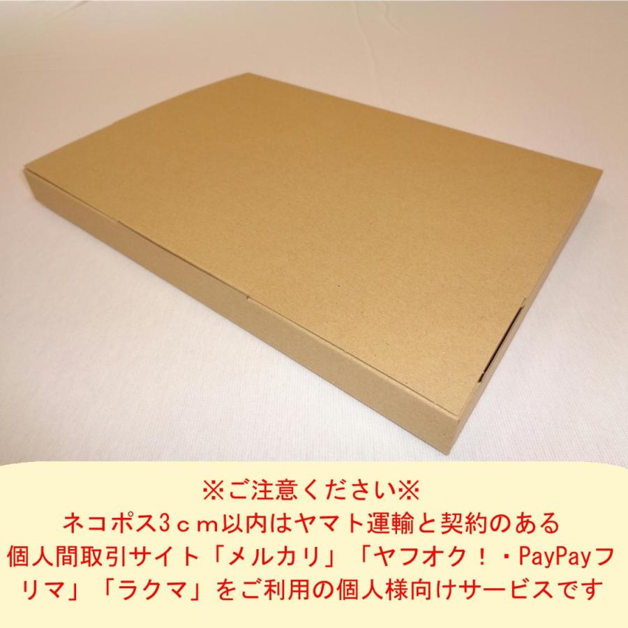 桐パック ネコポス用段ボール箱A4サイズ(外寸：308×221×28mm) 200枚