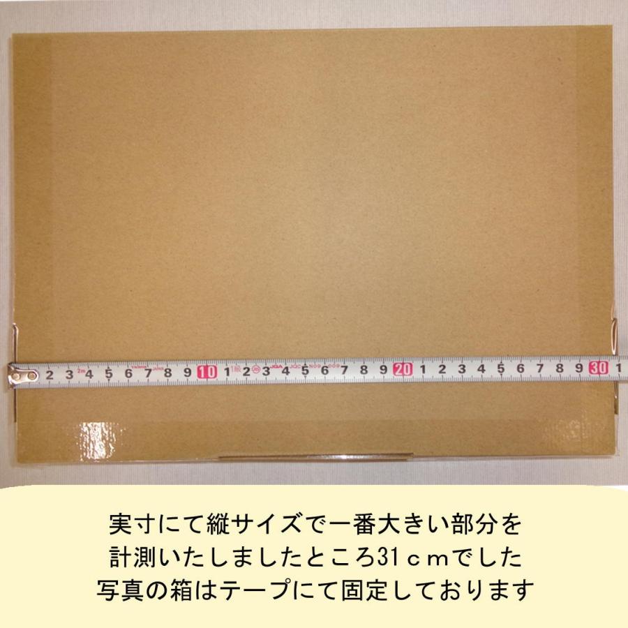 桐パック ネコポス用段ボール箱A4サイズ(外寸：308×221×28mm) 200枚