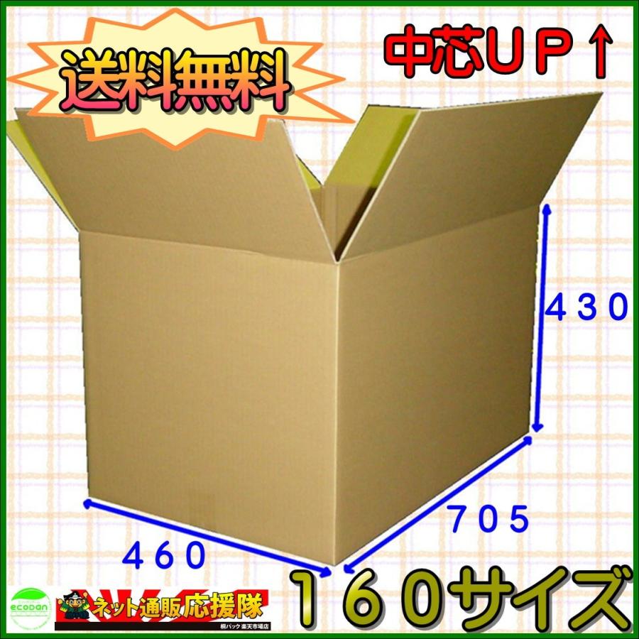 桐パック 法人限定 ダンボール箱160サイズ(段ボール箱)10枚(外寸：705