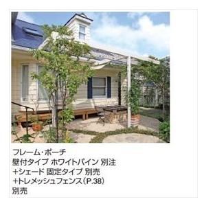 タカショー フレームポーチ 壁付タイプ 1.5間×6尺 ＊デッキ・正面パネルなどは別売 ラッピングカラー