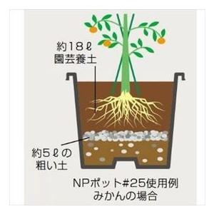 DICプラスチック NPスクエア ＃20 黒 [10個セットでお買い得！]の画像