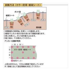 タカショー　カラー防草・植栽シート　50m巻　TBB-50G　コード：50684200 グリーン_1