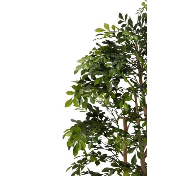 グローベン リフェイクグリーン 人工植物 樹木・屋内用 トネリコ H1800 専用土台付き_1