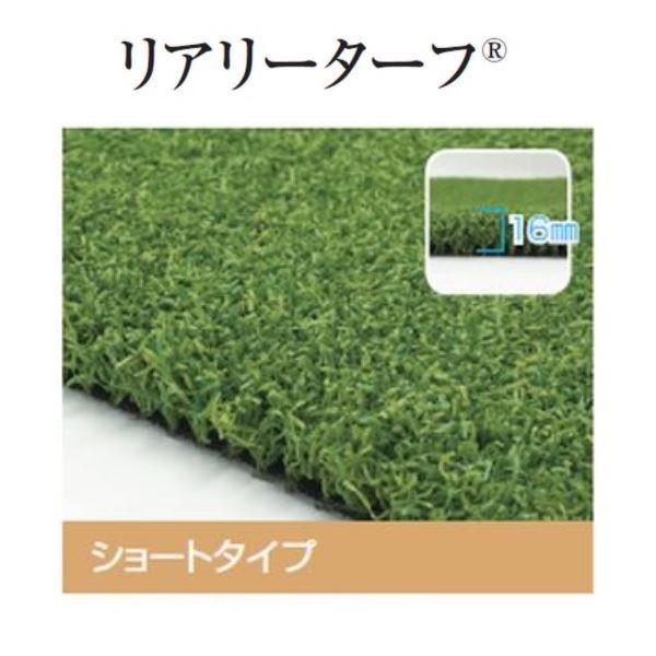 日本最大級のその他苗木、植木通販サイト。本物の苗木、植木を求める方
