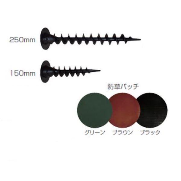 Campagnolo Athena カーボンクランク 165mm 50/34T