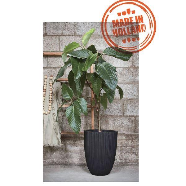 トーシン Capi アーバン チューブ ボール S CTN-KBLT932 ブラック トーシン