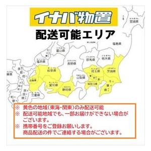 物置 屋外 おしゃれ 『配送は関東・東海限定』イナバ物置 BJX／アイビーストッカー BJX-115C CG 全面棚タイプ 『屋外用ドア型収納庫 DIの画像