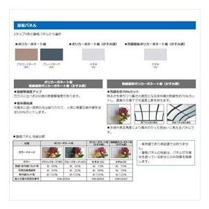 三協アルミ　1階設置型テラス　ナチュレNN型　ロング柱　2.0間×5尺　壁付け納まり　600タイプ　関東間　単体　TPNA-1250S　熱線遮断ポリカ