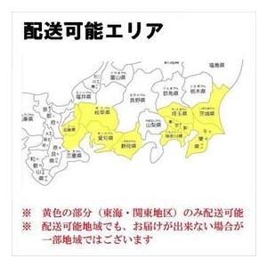 『配送は関東・東海限定』 リクシル タイルデッキ 間口側ステップ納まり 1段 間口：2400mm×出幅：3600mm 基礎束柱Aセット_5