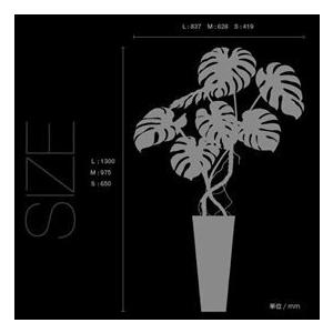 良好品 東京ステッカー 高級ウォールステッカー 植物 モンステラ Mサイズ Ts0003 Am グリーン かわいい 壁 シール おしゃれ その他インテリア雑貨 小物 Awacc Org