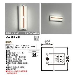 オーデリック　LEDフラットポーチライト　OG　251　別売センサ対応　254