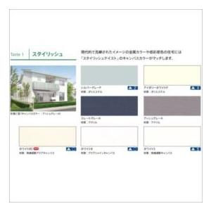 リクシル 彩風 C型 電動・手動併用式 間口 2730×出幅 2000 スタイリッシュ アクアシャイン スタイリッシュの画像