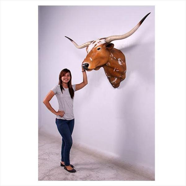 Long horn ロングホーン Longhorns have long horns WHY - GVR