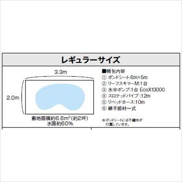 グローベン ポンドテックキット リリーポンドキット レギュラーサイズ C50STR300｜kiro｜02