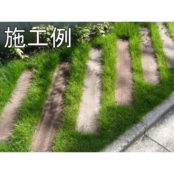 セランガンバツ製ミニ枕木 ラフ材/無塗装品 3本セット 50mm×200mm×2000mm SM-502002000-03_2