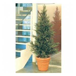 人工植栽 タカショー グリーンデコ鉢付 モミツリー 1 8m 1 8m Gd 153s その他苗木 植木 Gd 153s ならショッピング ランキングや口コミも豊富なネット通販 更にお得なpaypay残高も スマホアプリも充実で毎日どこからでも気になる商品をその場でお