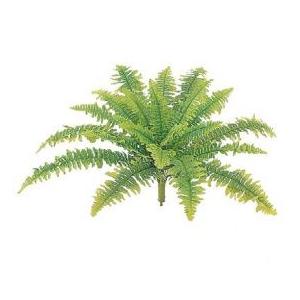 人工植栽 タカショー 和風下草 ヤマシダ H25cm Gn 42 エクステリアのキロyahoo 店 通販 Yahoo ショッピング