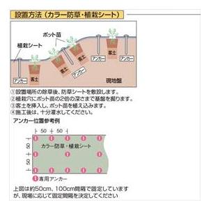 タカショー　カラー防草・植栽シート　50m巻　TBB-50G　コード：50684200 グリーン_1