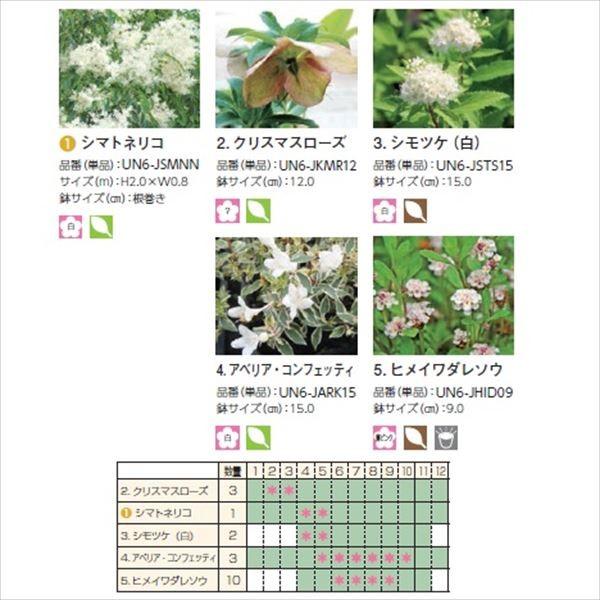 オンリーワン エントランス向け植栽セット ブリーゼ シマトネリコ やさしい景色 Un6 Set08 エクステリアのキロyahoo 店 通販 Yahoo ショッピング